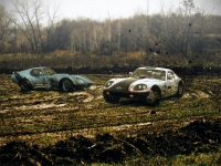 Marcos vs. Cobra